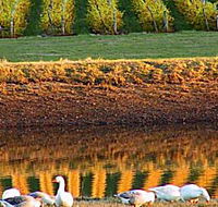 Pipers Brook Vineyard - Lightning Ridge Tourism