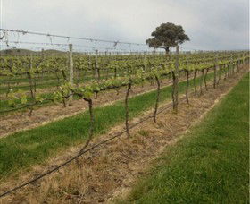 Indigo Vineyard - Lightning Ridge Tourism 1