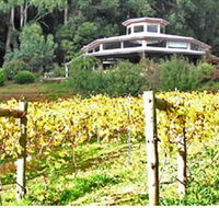 Peveril Vineyard/Beechy Berries - Lightning Ridge Tourism