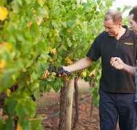Fratin Brothers Vineyard - Lightning Ridge Tourism
