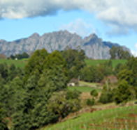 Lake Barrington Vineyard - Lightning Ridge Tourism
