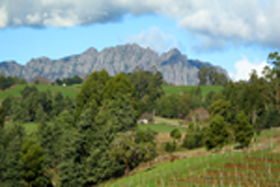 Lake Barrington Vineyard - Lightning Ridge Tourism 0