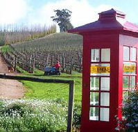Dalrymple Vineyards - Lightning Ridge Tourism