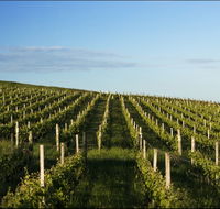 Delamere Vineyard - Lightning Ridge Tourism