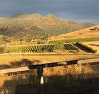 Optimiste Wines - Lightning Ridge Tourism