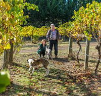 Little River Wines of Taggerty - Lightning Ridge Tourism
