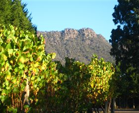Little River Wines Of Taggerty - Lightning Ridge Tourism 6