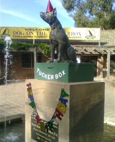 The Dog On The Tucker Box - Lightning Ridge Tourism 1
