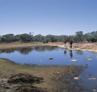 Camel Soak - Lightning Ridge Tourism