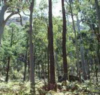 Cathedral Range State Park - Lightning Ridge Tourism