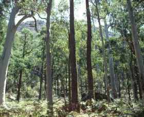 Cathedral Range State Park - Lightning Ridge Tourism 0