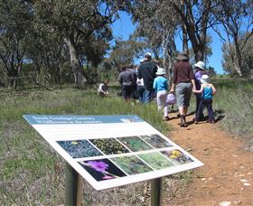 South Gundagai NSW Lightning Ridge Tourism