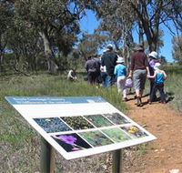 South Gundagai Woodlands Walk - Lightning Ridge Tourism