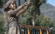 Marysville Kin Playspace - thumb 0