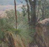 Mount Lawson State Park - Lightning Ridge Tourism