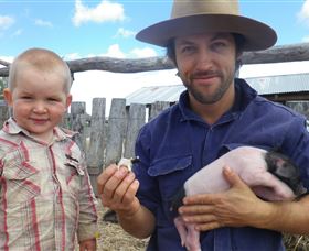 Gleneden Organic Farm And The Gleneden Bullock Team - Lightning Ridge Tourism 2