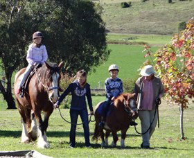 Bathurst Farm Experience - Lightning Ridge Tourism 0