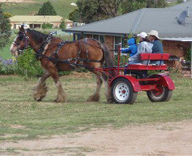 Bathurst Farm Experience - Lightning Ridge Tourism 3