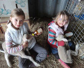 Bathurst Farm Experience - Lightning Ridge Tourism 4