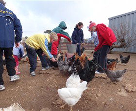 Bathurst Farm Experience - Lightning Ridge Tourism 2