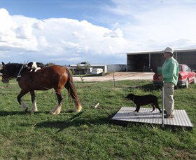 Bathurst Farm Experience - Lightning Ridge Tourism 6