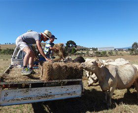Bathurst Farm Experience - Lightning Ridge Tourism 5
