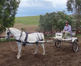 Bathurst Farm Experience - Lightning Ridge Tourism 8