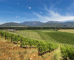 Feathertop Winery - Lightning Ridge Tourism 3