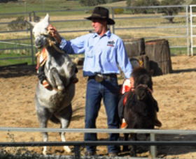 Boggy Creek Shows - Lightning Ridge Tourism 2