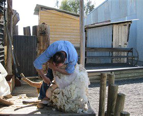 Boggy Creek Shows - Lightning Ridge Tourism 4