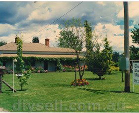 Tumut Valley Violets - Lightning Ridge Tourism 0