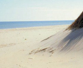 Lilley's Beach - Lightning Ridge Tourism 2