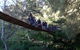 Abercrombie Caves - thumb 1