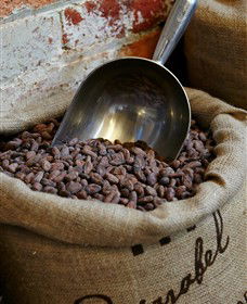 Bright Chocolate - Lightning Ridge Tourism 5