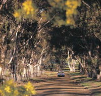 Albert Facey Heritage Trail - Lightning Ridge Tourism