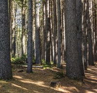 Sugarpine Walk - Lightning Ridge Tourism