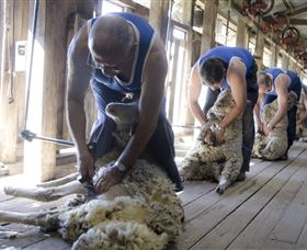 The Woolshed At Jondaryan - Lightning Ridge Tourism 1