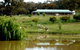 Clearview Alpacas - thumb 0