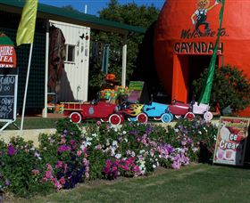 Gayndahs Big Orange - Lightning Ridge Tourism 1