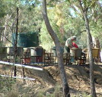 7 Oaks Sapphire Fossicking - Lightning Ridge Tourism