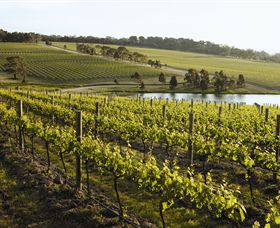 Yabby Lake Vineyard & Cellar Door - Lightning Ridge Tourism 7