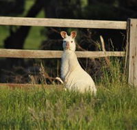 Panorama Garden Estate - Lightning Ridge Tourism