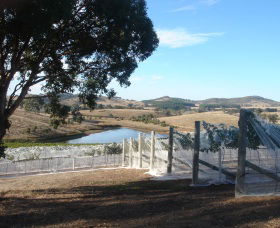 Helm Wines - Lightning Ridge Tourism 4