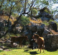 Coomba Falls - Lightning Ridge Tourism