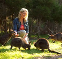 Moonlit Sanctuary Wildlife Conservation Park - Lightning Ridge Tourism