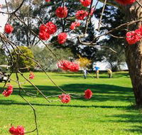 The Yass Golf Club - Lightning Ridge Tourism