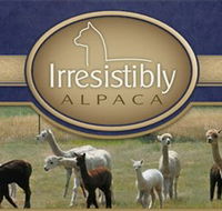 Marchmont Park Alpacas - Lightning Ridge Tourism