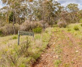 Old Mountain Road Walking Track - Lightning Ridge Tourism 0