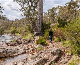 Old Mountain Road Walking Track - Lightning Ridge Tourism 2