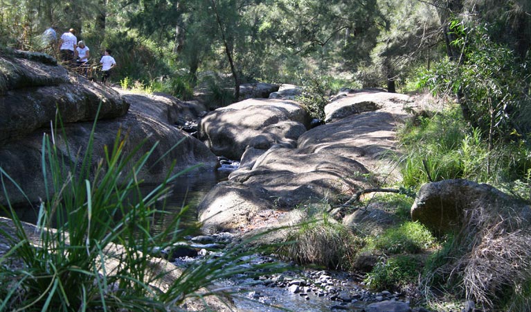 Belltrees NSW Lightning Ridge Tourism